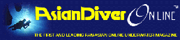 ASIAN DIVER